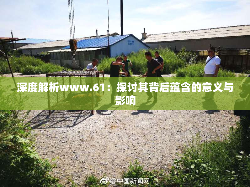 深度解析www.61：探讨其背后蕴含的意义与影响