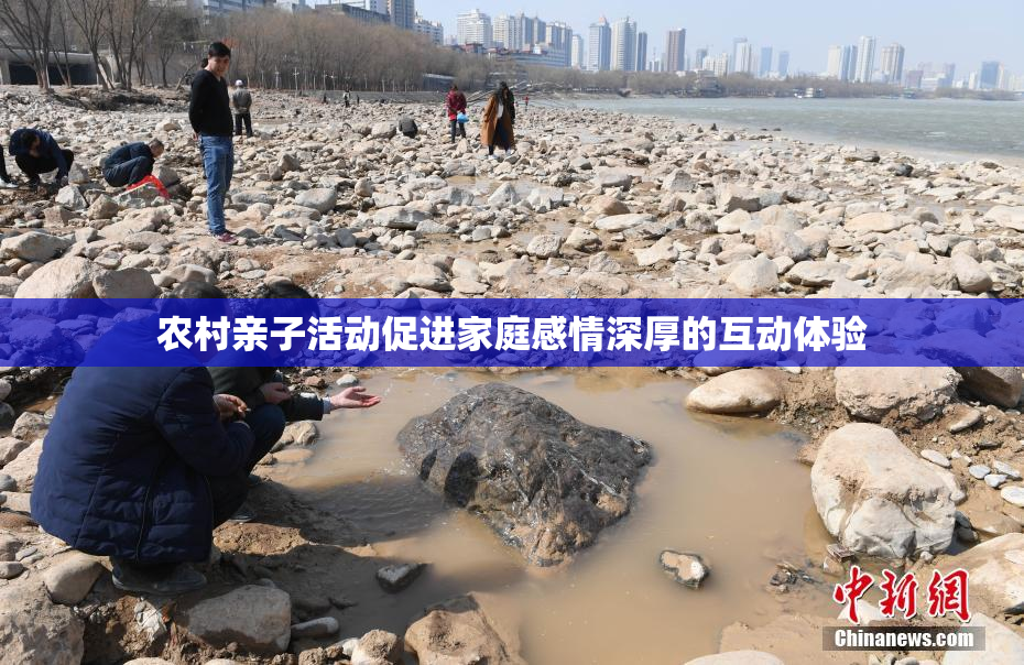 农村亲子活动促进家庭感情深厚的互动体验