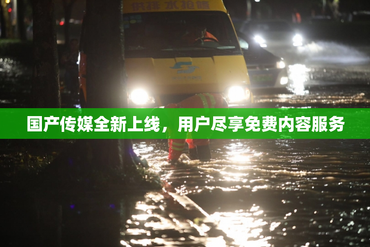 国产传媒全新上线，用户尽享免费内容服务