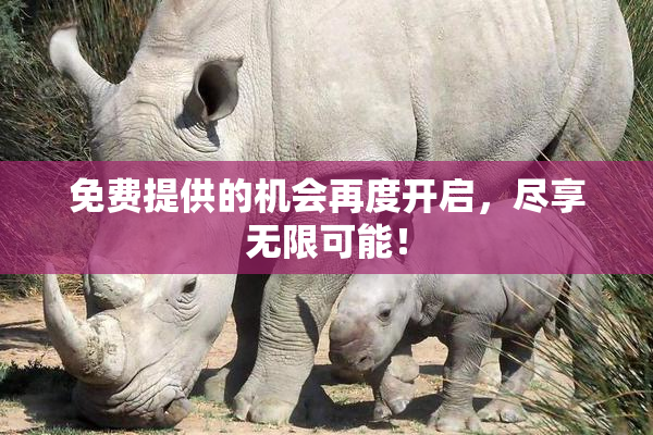 免费提供的机会再度开启，尽享无限可能！