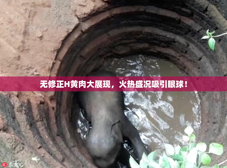 无修正H黄肉大展现，火热盛况吸引眼球！