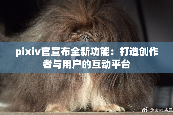 pixiv官宣布全新功能：打造创作者与用户的互动平台