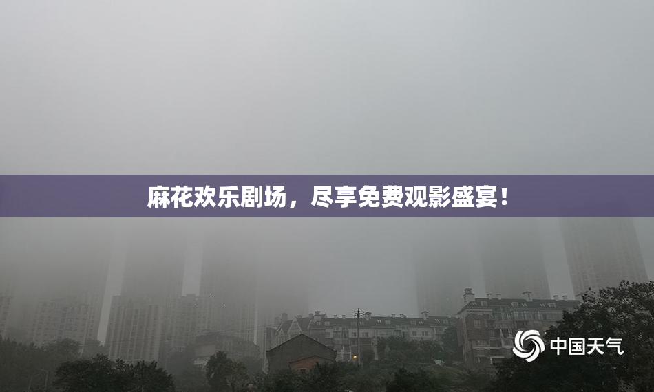 麻花欢乐剧场，尽享免费观影盛宴！