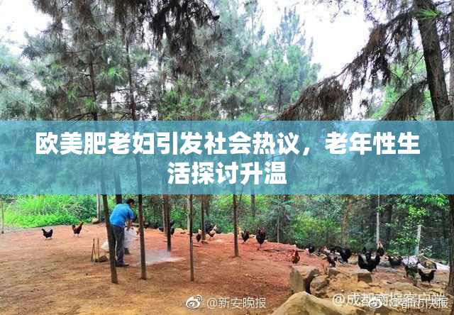 欧美肥老妇引发社会热议，老年性生活探讨升温