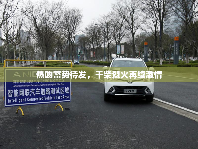热吻蓄势待发，干柴烈火再续激情