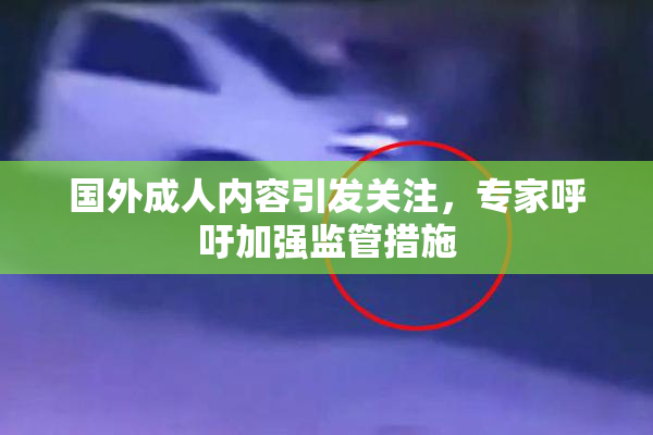 国外成人内容引发关注，专家呼吁加强监管措施