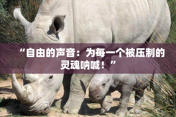 “自由的声音：为每一个被压制的灵魂呐喊！”
