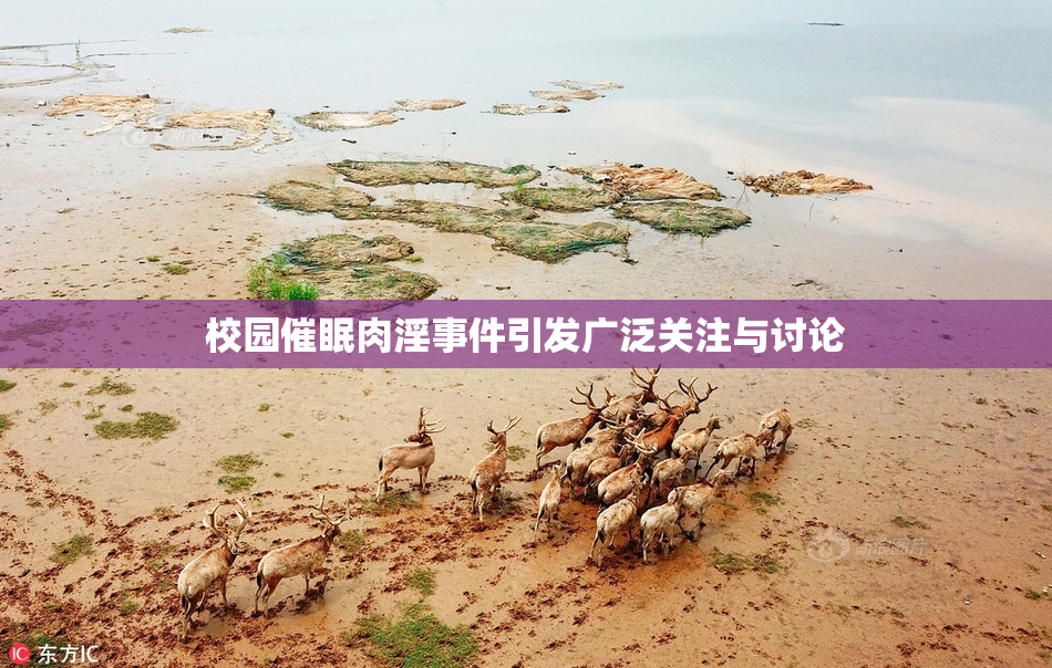 校园催眠肉淫事件引发广泛关注与讨论