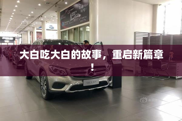 大白吃大白的故事，重启新篇章！