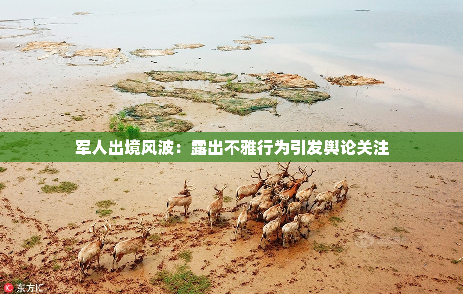 军人出境风波：露出不雅行为引发舆论关注