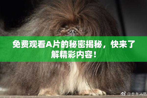 免费观看A片的秘密揭秘，快来了解精彩内容！