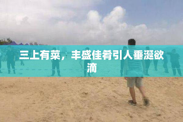 三上有菜，丰盛佳肴引人垂涎欲滴