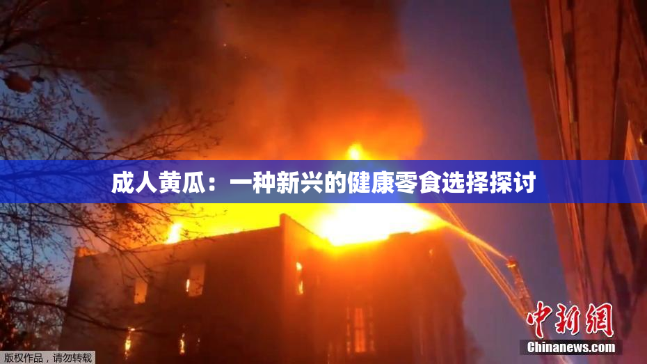 成人黄瓜：一种新兴的健康零食选择探讨
