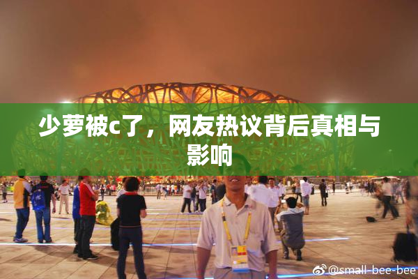 少萝被c了，网友热议背后真相与影响