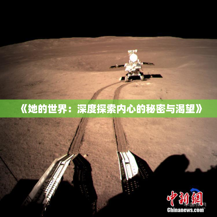 《她的世界：深度探索内心的秘密与渴望》