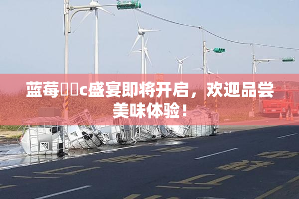 蓝莓❌‌c盛宴即将开启，欢迎品尝美味体验！