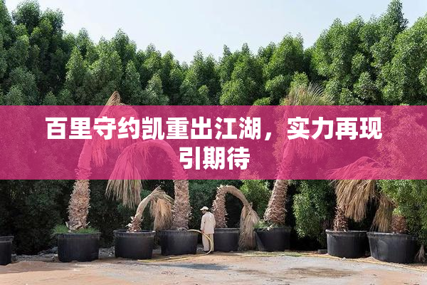 百里守约凯重出江湖，实力再现引期待