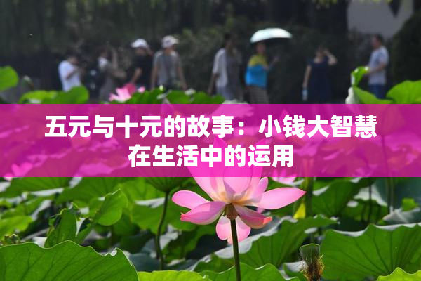 五元与十元的故事：小钱大智慧在生活中的运用