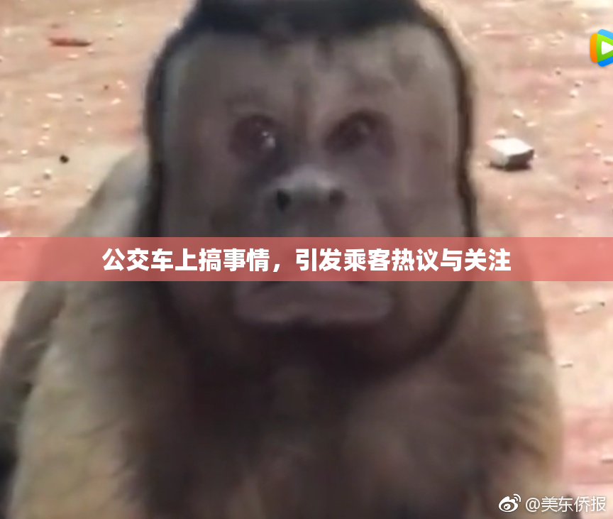 公交车上搞事情，引发乘客热议与关注