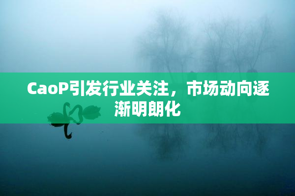 CaoP引发行业关注，市场动向逐渐明朗化