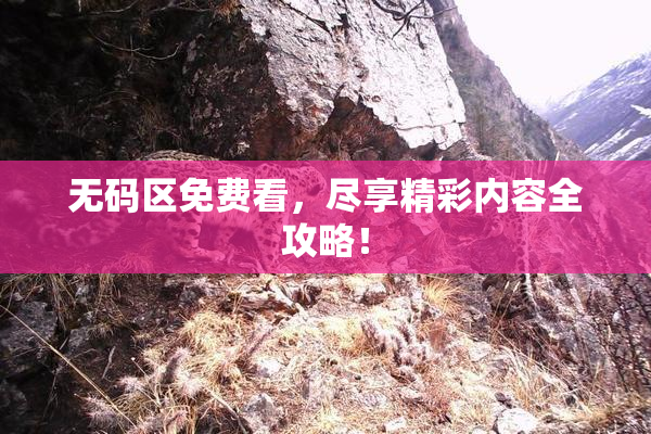 无码区免费看，尽享精彩内容全攻略！