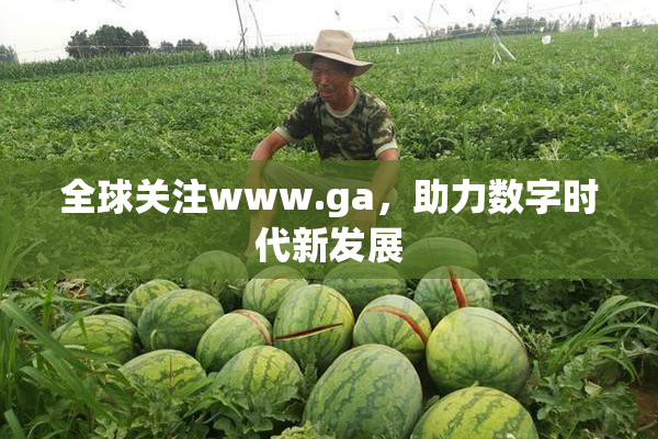 全球关注www.ga，助力数字时代新发展