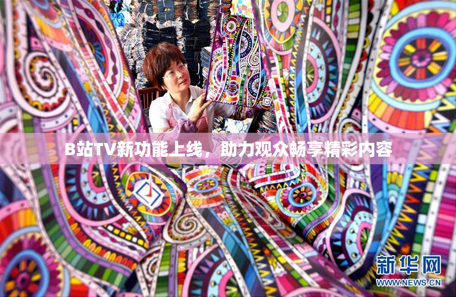 B站TV新功能上线，助力观众畅享精彩内容