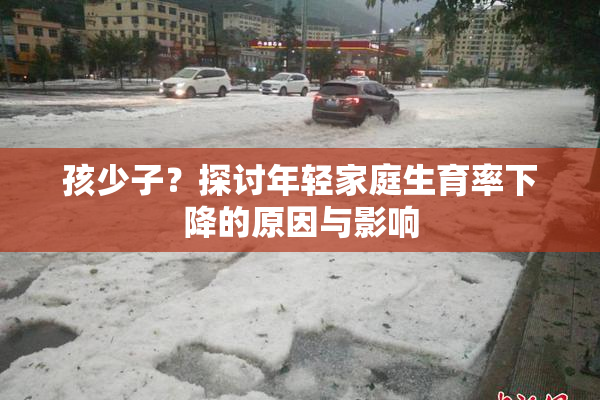 孩少子？探讨年轻家庭生育率下降的原因与影响