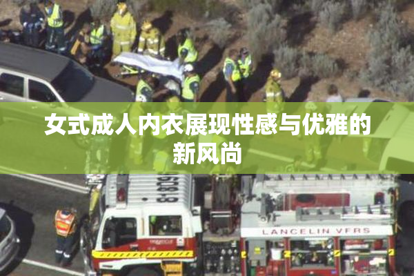 女式成人内衣展现性感与优雅的新风尚
