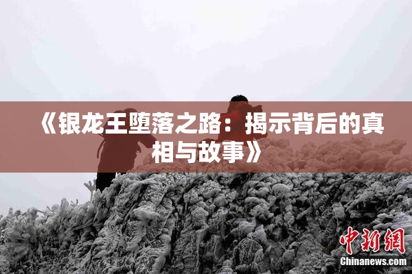《银龙王堕落之路：揭示背后的真相与故事》