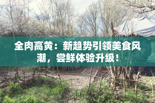 全肉高黄：新趋势引领美食风潮，尝鲜体验升级！
