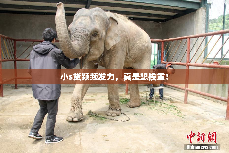 小s货频频发力，真是想挨重！