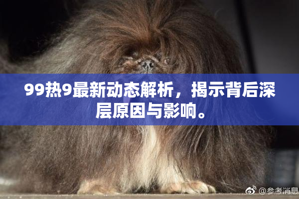 99热9最新动态解析，揭示背后深层原因与影响。