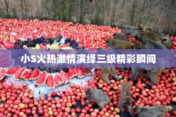 小S火热激情演绎三级精彩瞬间