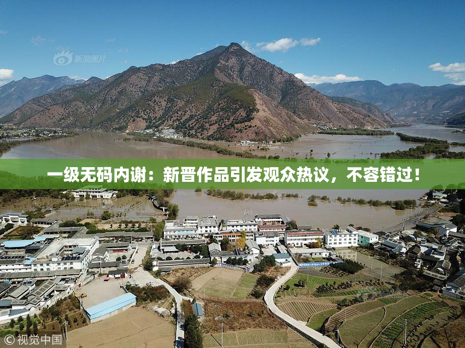 一级无码内谢：新晋作品引发观众热议，不容错过！