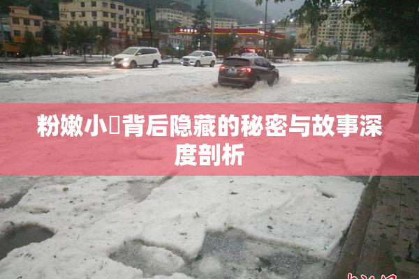 粉嫩小泬背后隐藏的秘密与故事深度剖析