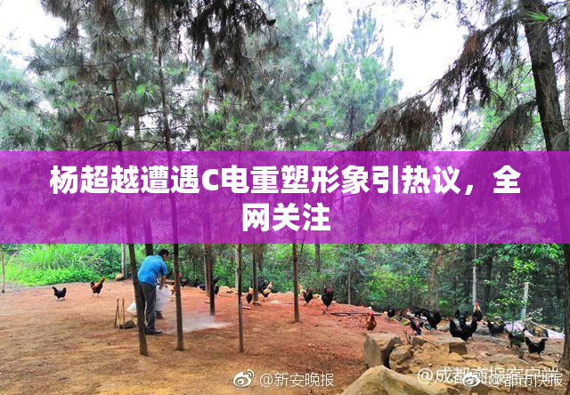 杨超越遭遇C电重塑形象引热议，全网关注