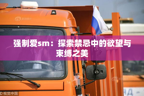 强制爱sm：探索禁忌中的欲望与束缚之美