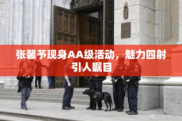 张馨予现身AA级活动，魅力四射引人瞩目