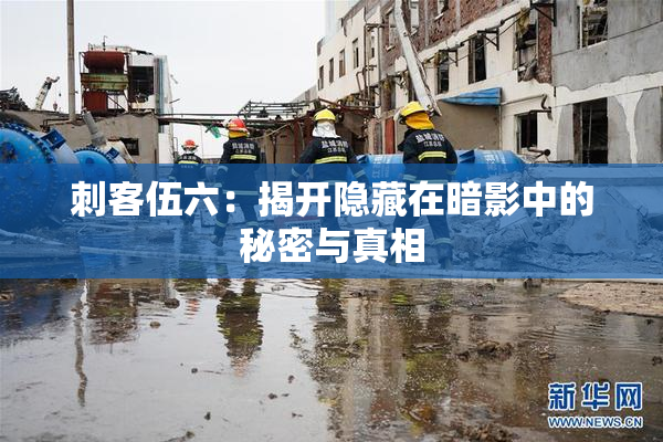 刺客伍六：揭开隐藏在暗影中的秘密与真相