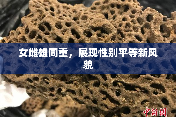 女雌雄同重，展现性别平等新风貌