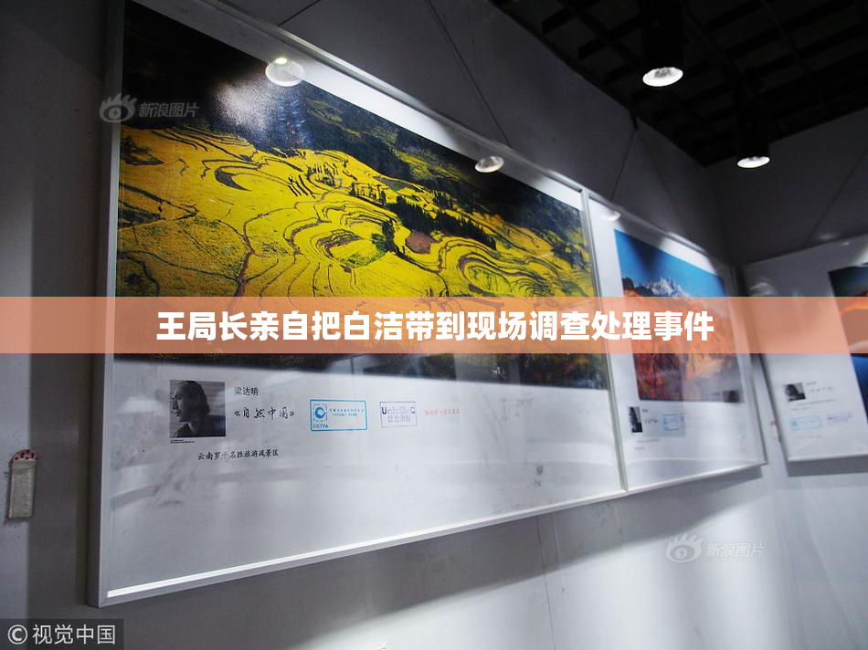 王局长亲自把白洁带到现场调查处理事件