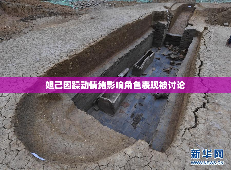 妲己因躁动情绪影响角色表现被讨论