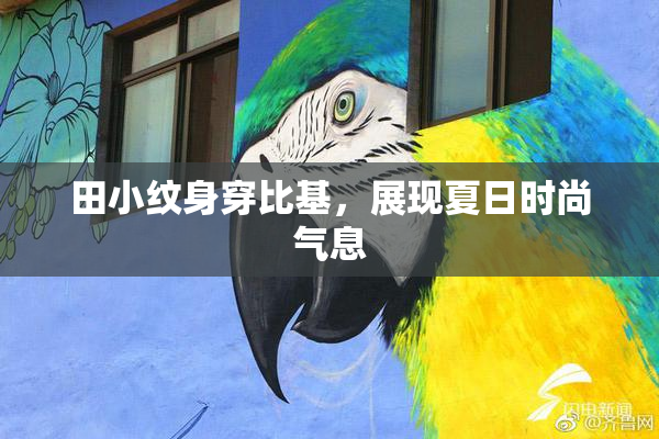 田小纹身穿比基，展现夏日时尚气息