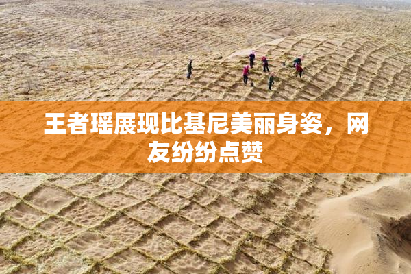 王者瑶展现比基尼美丽身姿，网友纷纷点赞