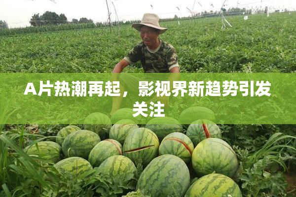 A片热潮再起，影视界新趋势引发关注