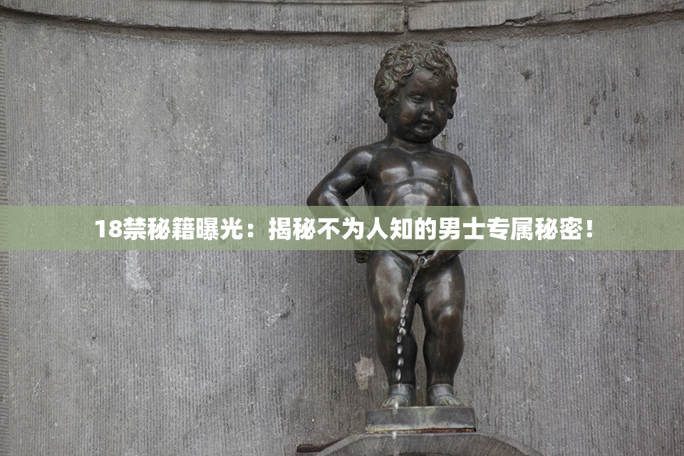 18禁秘籍曝光：揭秘不为人知的男士专属秘密！