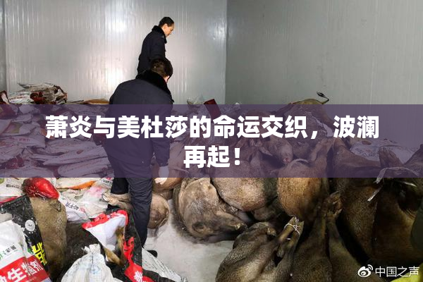 萧炎与美杜莎的命运交织，波澜再起！