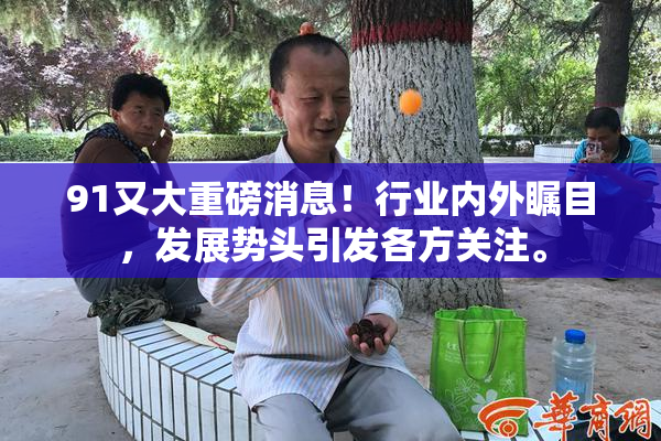 91又大重磅消息！行业内外瞩目，发展势头引发各方关注。
