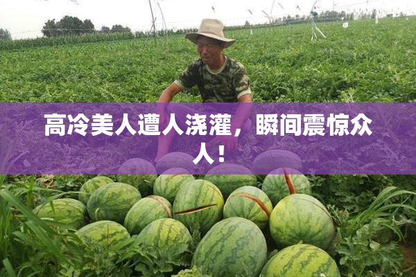 高冷美人遭人浇灌，瞬间震惊众人！